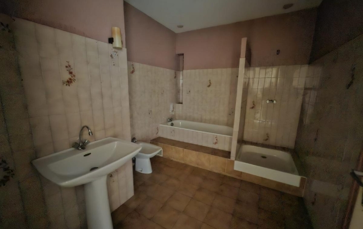 Immeuble BEZIERS (34500)  220 m2 172 000 € 