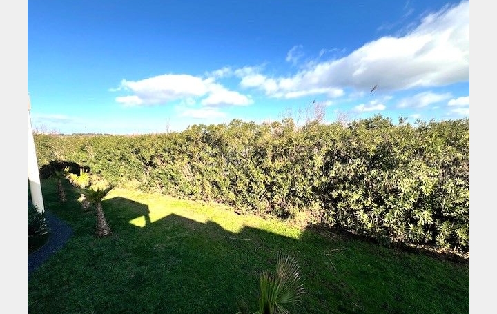 2 Pièces LE CAP-D'AGDE (34300)  33 m2 179 000 € 