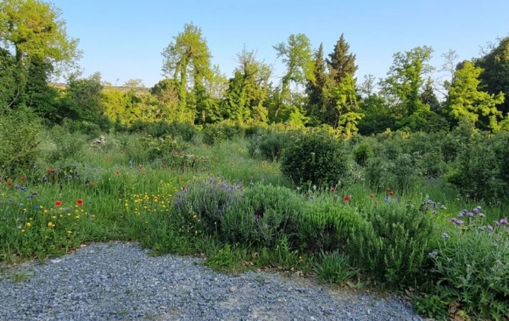 Terrain BEDARRIDES (84370) 263 m<sup>2</sup> 190 000 € 