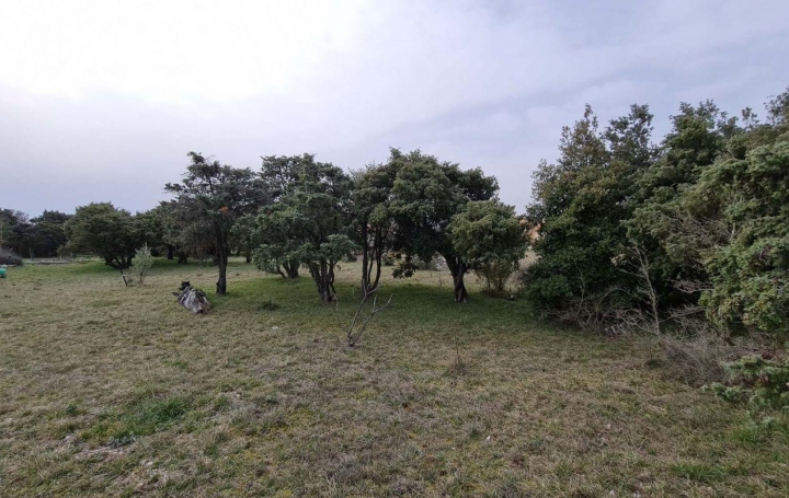 Réseau Immo-diffusion : Terrain  GRAS   55 000 € 