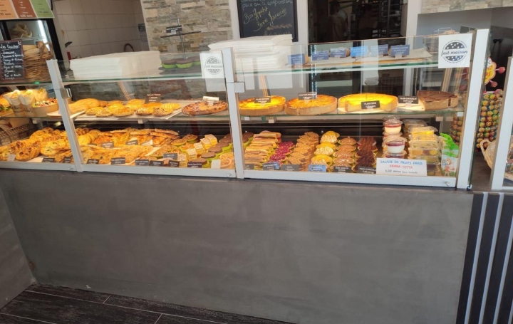 Activité commerciale PIERRELATTE (26700)  200 m2 239 000 € 