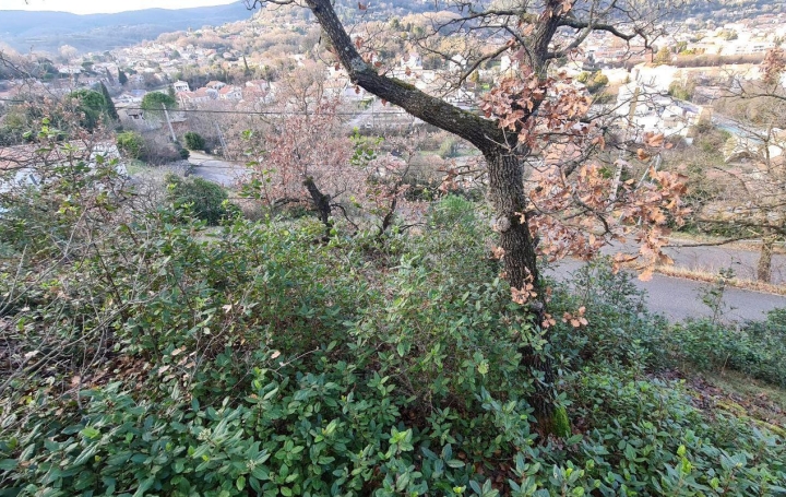 Terrain LE TEIL (07400)   85 000 € 