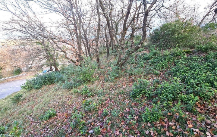 Terrain LE TEIL (07400)   85 000 € 