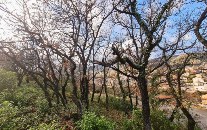 Terrain LE TEIL (07400)   85 000 € 