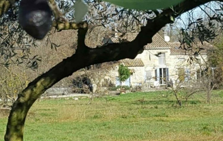 Réseau Immo-diffusion : Mas  LAPALUD  200 m2 315 000 € 