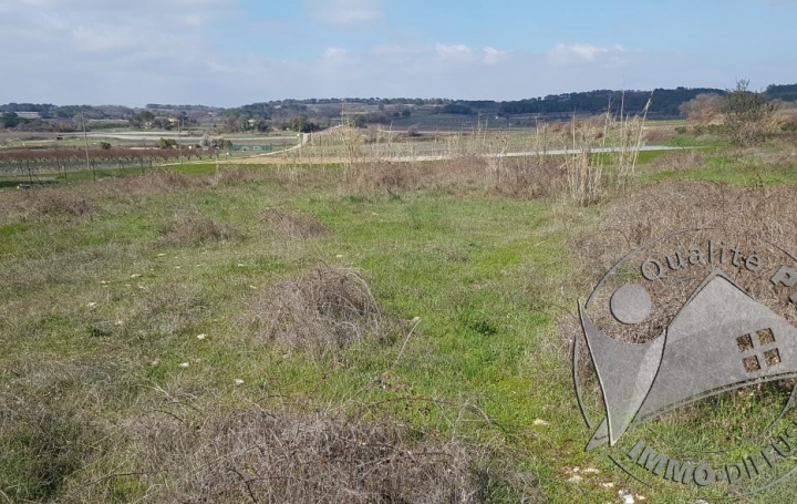 Réseau Immo-diffusion : Terrain  SAINT-PONS-LA-CALM   80 000 € 