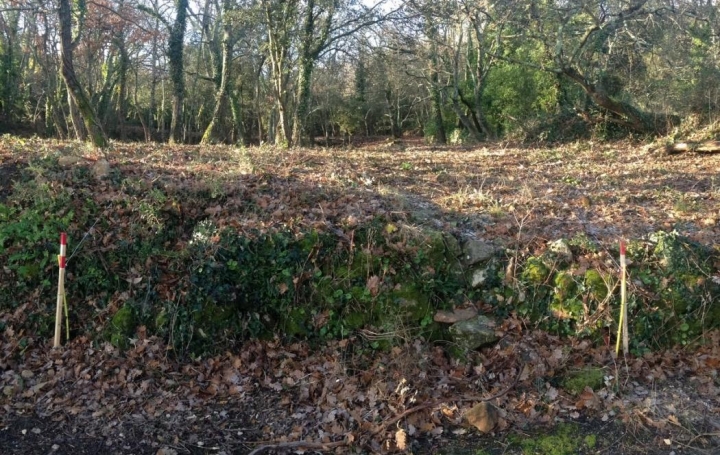 Réseau Immo-diffusion : Terrain  LE PIN   83 500 € 