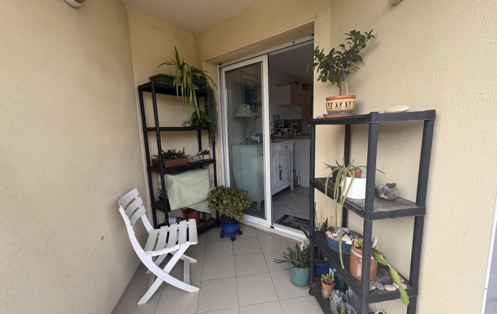 Autre SETE (34200)  32 m2 169 000 € 