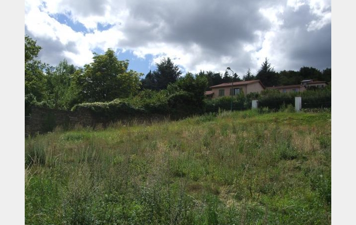 Réseau Immo-diffusion : Terrain  SAINT-SORLIN   245 000 € 