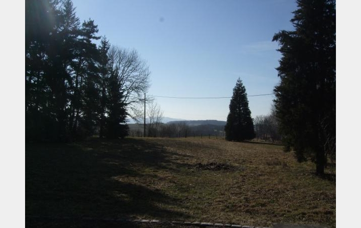 Réseau Immo-diffusion : Terrain  DUERNE   126 000 € 