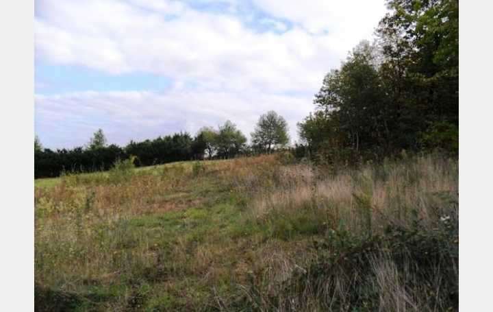 Réseau Immo-diffusion : Terrain  CHATEAUNEUF   178 000 € 