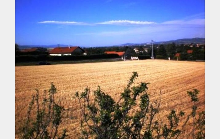 Réseau Immo-diffusion : Terrain  CHASSAGNY   150 000 € 