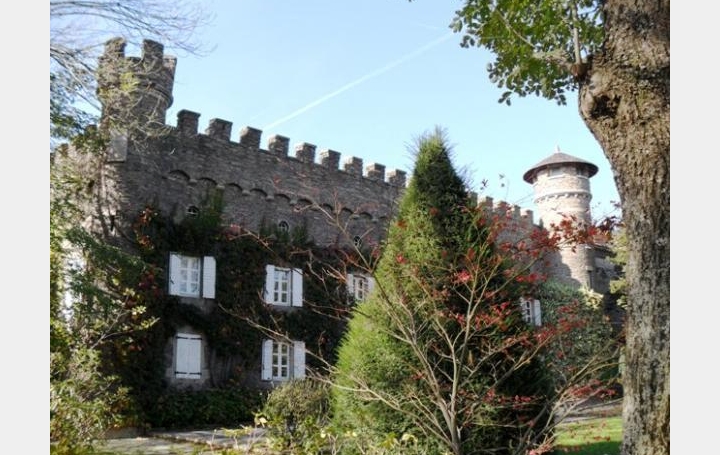 Réseau Immo-diffusion : Propriété  SAINT-JEAN-DE-TOUSLAS  400 m2 1 545 000 € 