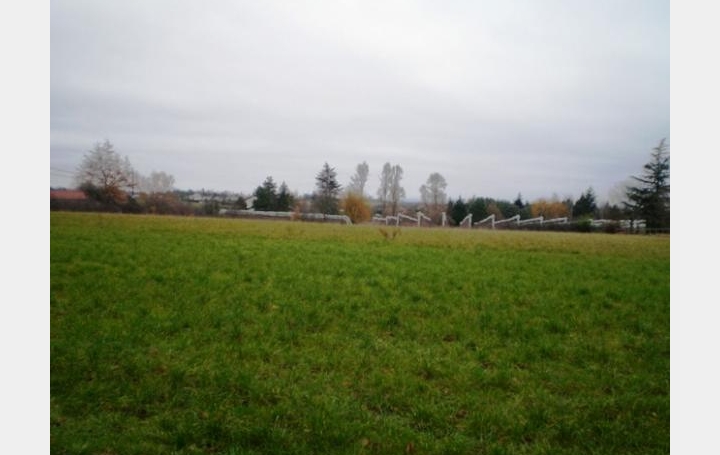 Réseau Immo-diffusion : Terrain  ORLIENAS   232 000 € 