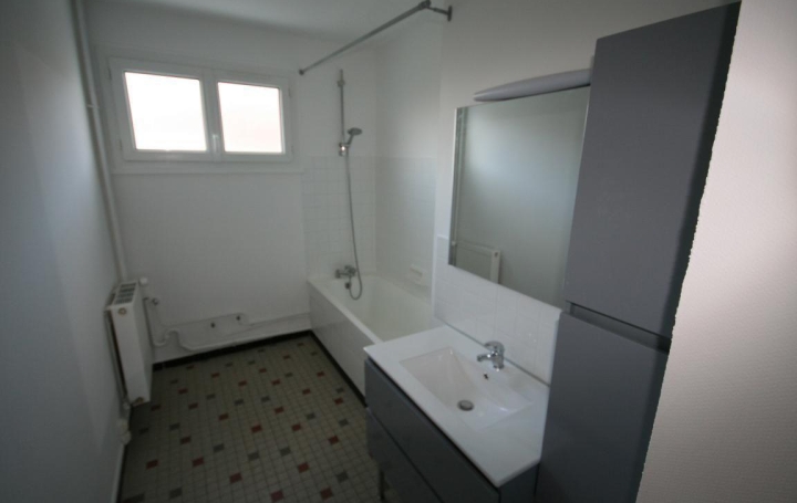 Immeuble VALLON-EN-SULLY (03190)  620 m2 399 000 € 