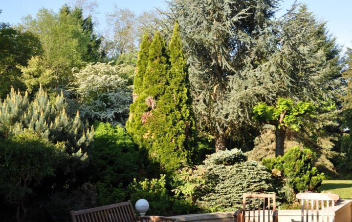 Maison SAINT-AMAND-MONTROND (18200)  196 m2 402 300 € 