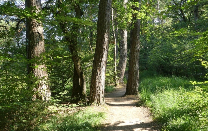 Maison SAINT-BONNET-TRONCAIS (03360)  65 m2 91 800 € 