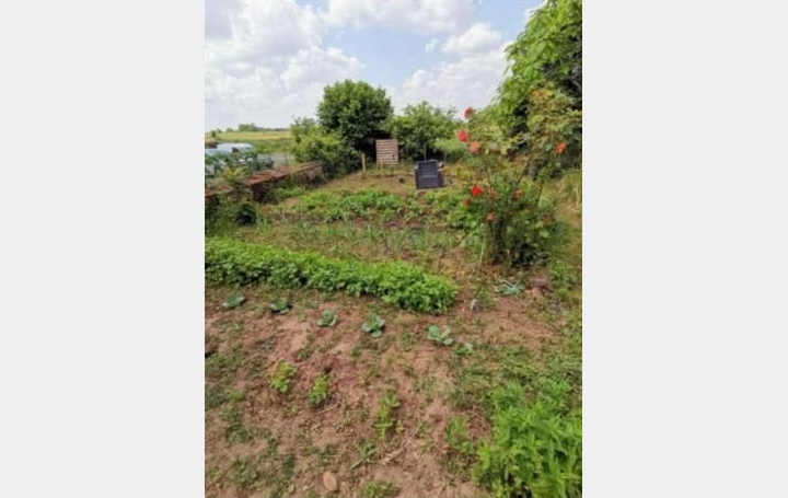 Maison COUST (18210)  136 m2 169 000 € 