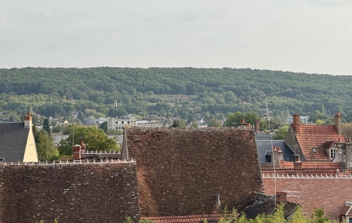 1 Pièce SAINT-AMAND-MONTROND (18200)  31 m2 46 200 € 