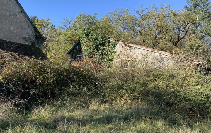 Maison LOYE-SUR-ARNON (18170)  59 m2 26 000 € 