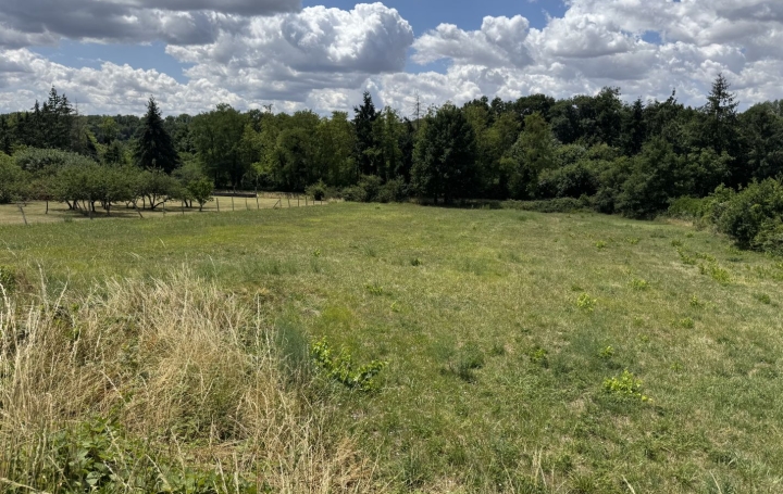 Terrain DREVANT (18200)   38 500 € 