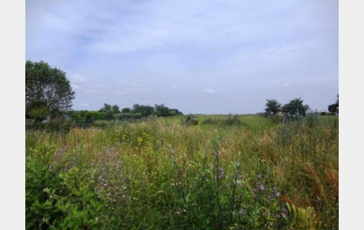 Réseau Immo-diffusion : Terrain  SAINT-GEORGES-DE-POISIEUX   54 000 € 