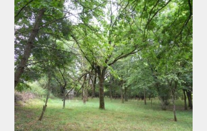 Réseau Immo-diffusion : Terrain  LIGNIERES   17 500 € 