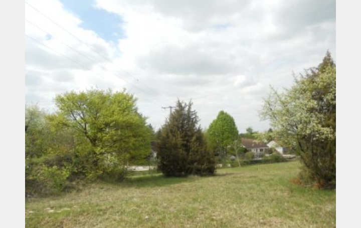 Réseau Immo-diffusion : Terrain  SAINT-FLORENT-SUR-CHER   55 000 € 