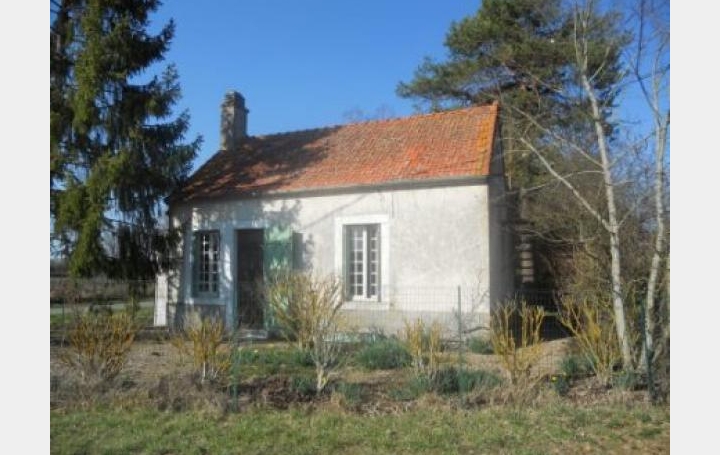 Réseau Immo-diffusion : Maison  OSMERY  49 m2 45 600 € 