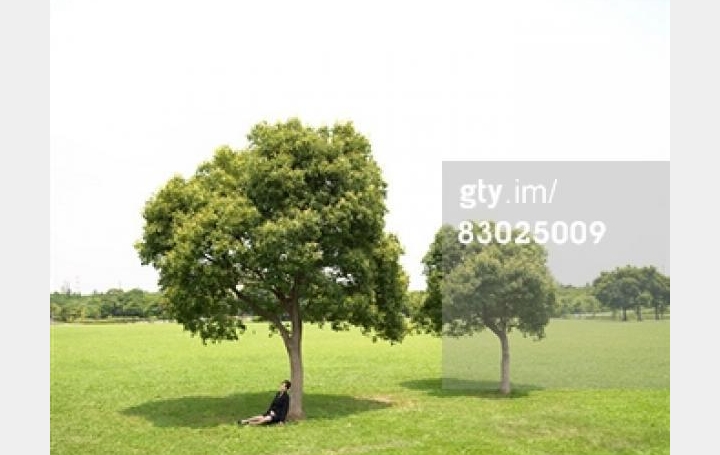 Réseau Immo-diffusion : Terrain  THAUMIERS   14 000 € 