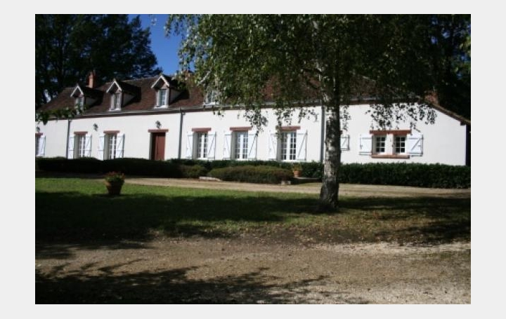 Réseau Immo-diffusion : Propriété  VIERZON  275 m2 449 000 € 