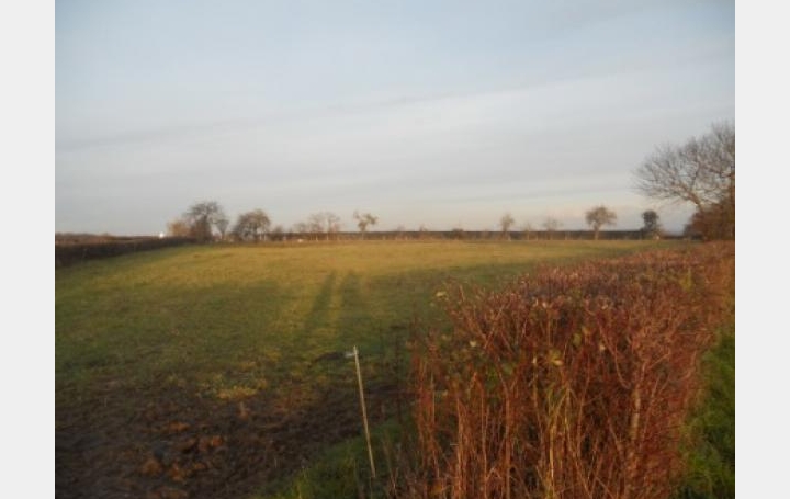 Réseau Immo-diffusion : Terrain  SAINT-PIERRE-LES-ETIEUX   17 € 