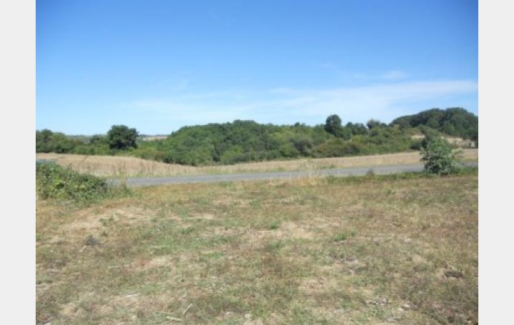 Réseau Immo-diffusion : Terrain  LA GROUTTE   19 € 