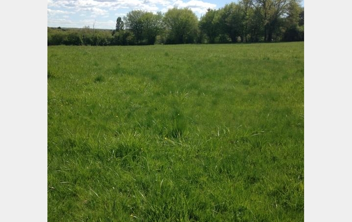 Réseau Immo-diffusion : Terrain  LE PONDY  7 585 m2 0 € 