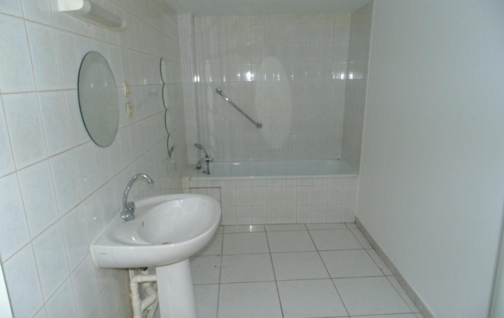 Studio SAINT-PAUL-DE-VARAX (01240)  48 m2 415 € 