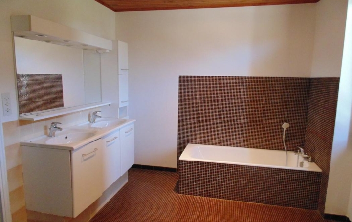Maison MEXIMIEUX (01800)  297 m2 1 525 € 