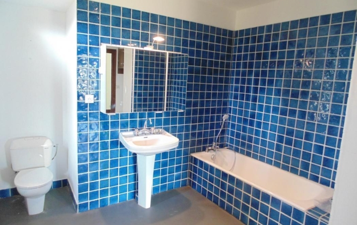 Maison MEXIMIEUX (01800)  297 m2 1 525 € 