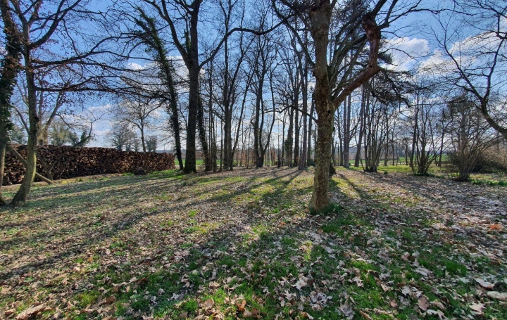 Maison VILLARS-LES-DOMBES (01330)  126 m2 1 100 € 
