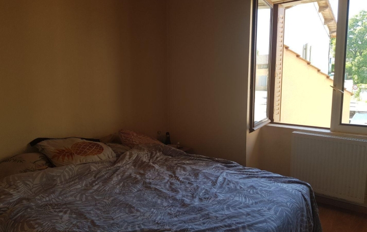 3 Pièces SAINT-JEAN-DE-NIOST (01800)  62 m2 600 € 