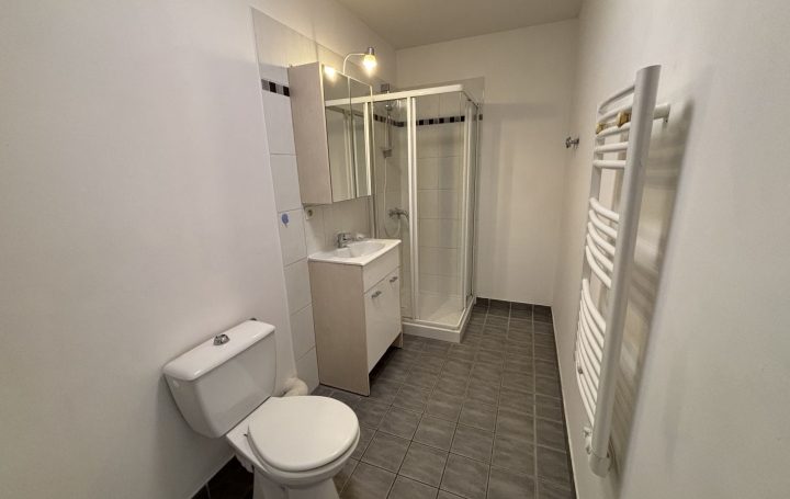 1 Pièce PONT-DE-VAUX (01190)  39 m2 399 € 