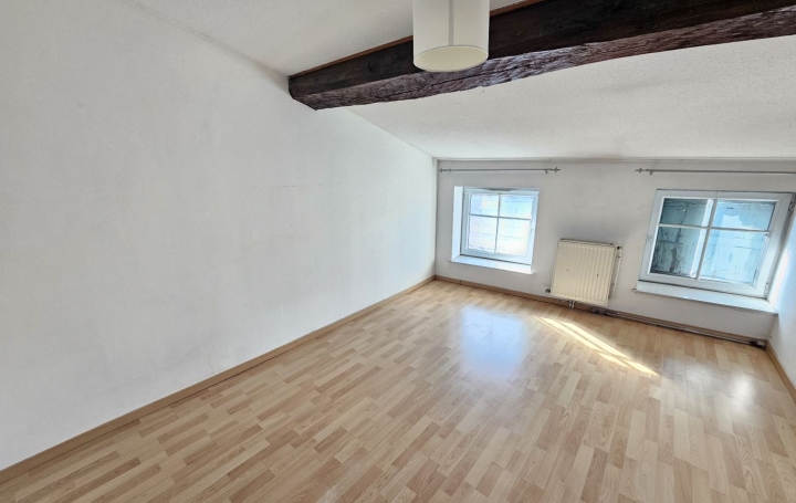 3 Pièces PONT-DE-VAUX (01190)  90 m2 550 € 