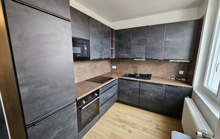 3 Pièces BOURG-EN-BRESSE (01000)  52 m2 730 € 