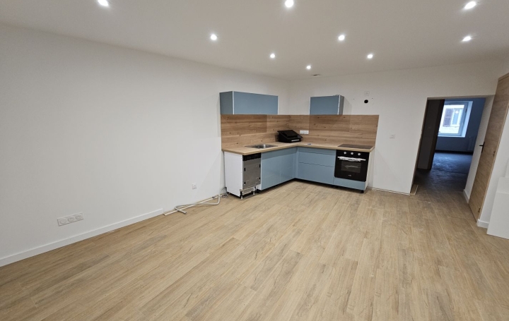 Appartement PONT-DE-VEYLE (01290) 62 m<sup>2</sup> 750 € 