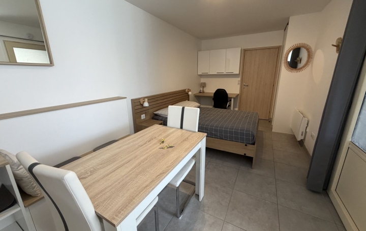 Studio SAINT-PAUL-DE-VARAX (01240)  24 m2 550 € 