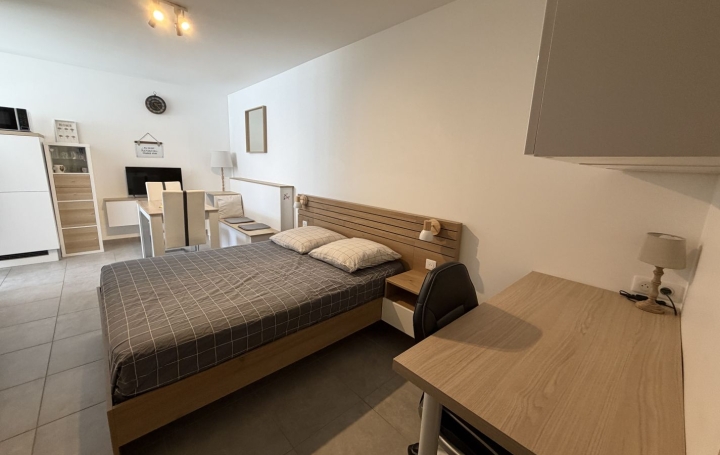 Studio SAINT-PAUL-DE-VARAX (01240)  24 m2 550 € 