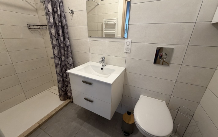 Studio SAINT-PAUL-DE-VARAX (01240)  24 m2 550 € 