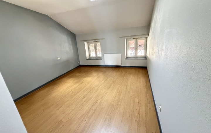 3 Pièces PONT-DE-VAUX (01190)  79 m2 550 € 