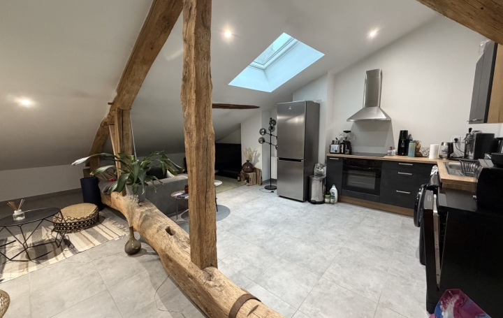 Appartement CHATILLON-SUR-CHALARONNE (01400) 46 m<sup>2</sup> 570 € 