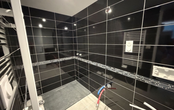 Studio SAINT-PAUL-DE-VARAX (01240)  13 m2 500 € 