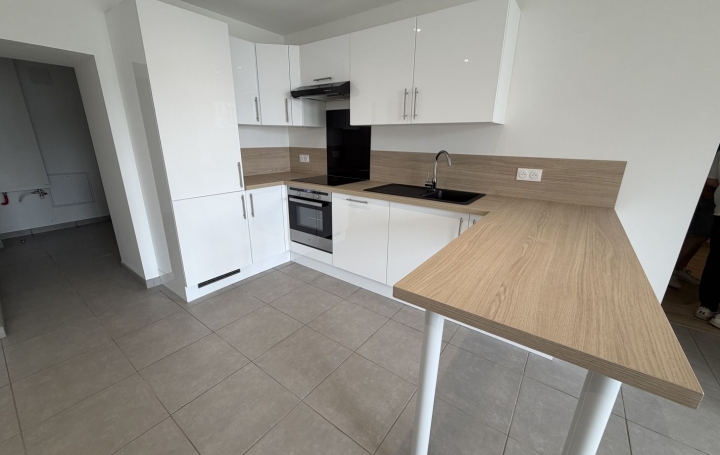 3 Pièces SAINT-PAUL-DE-VARAX (01240)  65 m2 950 € 